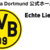 ロイス：「パブレンカのセーブはワールドクラス」 | Borussia Dortmund | ボルシア ド